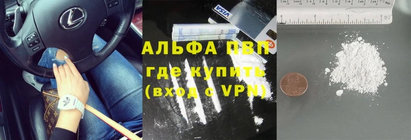 крисы Горняк