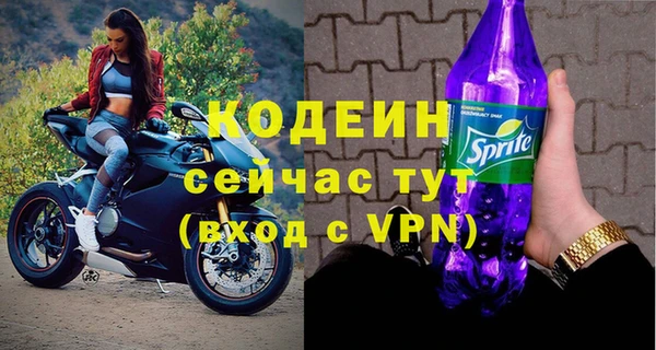 крисы Горняк