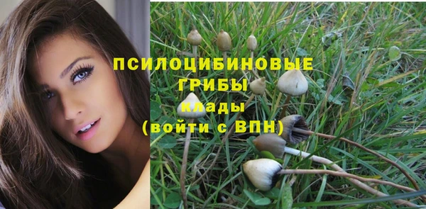 каннабис Горно-Алтайск