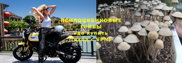 альфа пвп Горнозаводск