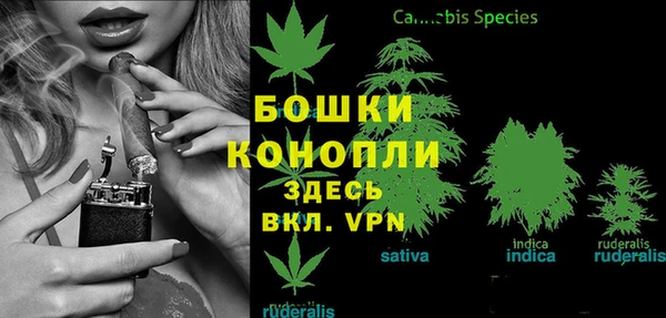 альфа пвп Горнозаводск
