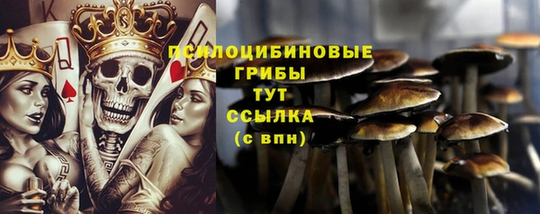 каннабис Горно-Алтайск