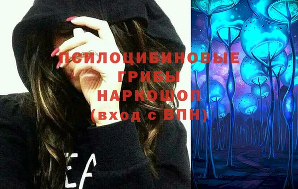 альфа пвп Горнозаводск