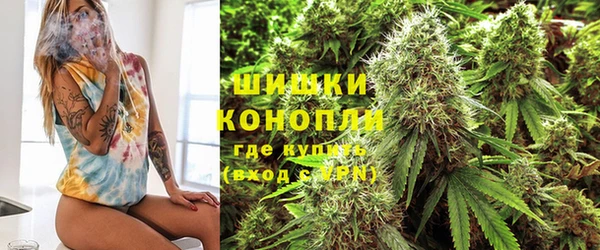 альфа пвп Горнозаводск