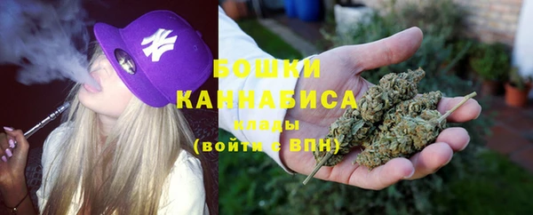 альфа пвп Горнозаводск
