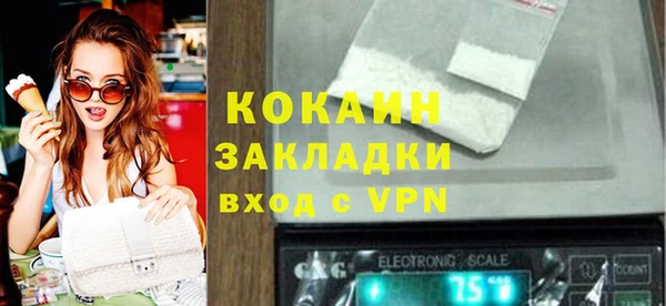 крисы Горняк