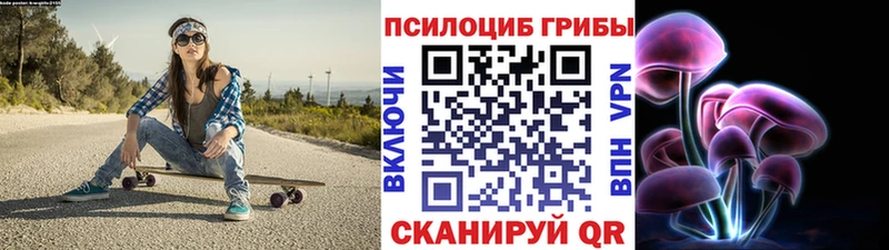 закладки  Задонск  Псилоцибиновые грибы Cubensis 