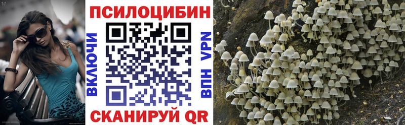 Галлюциногенные грибы Cubensis Задонск